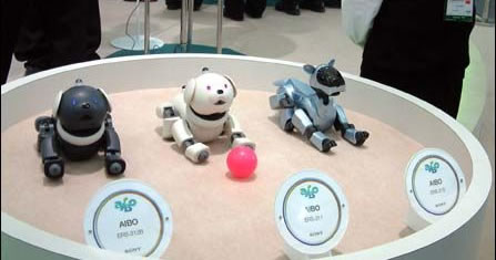 索尼:两代超可爱机器狗AIBO共聚一堂[图]--北方